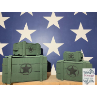 Legerkist ster groen groot